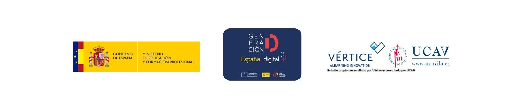 Gobierno Generacion Digital Vertice