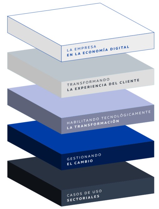 Contenidos del programa